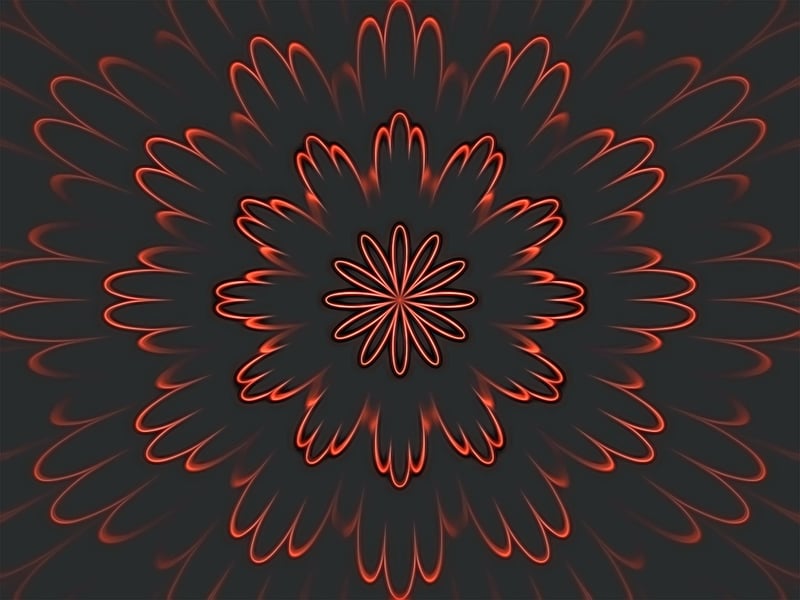 Fractal Image