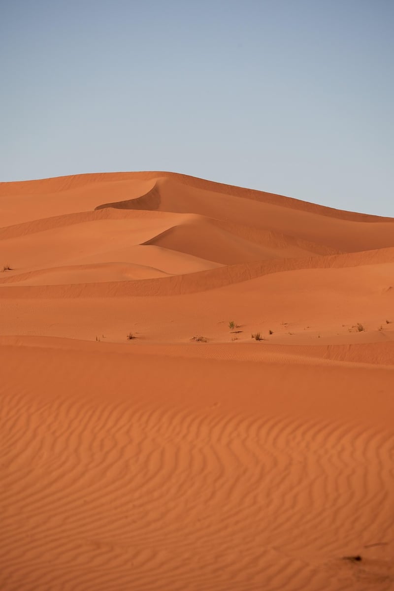 Sahara Desert Trek